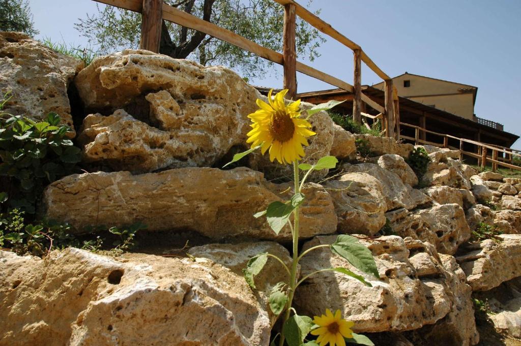 Agriturismo Campo Antico Vendégház Orte Kültér fotó