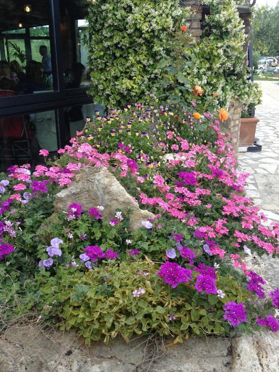 Agriturismo Campo Antico Vendégház Orte Kültér fotó